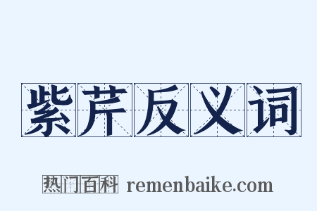 紫芹反义词是什么意思的图片